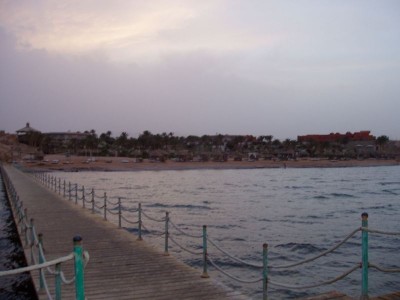 P4280216.JPG