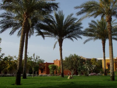 P1010053.jpg