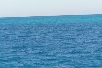 P2252368.JPG (92.51 KiB) Просмотров: 2056 P2252368.JPG