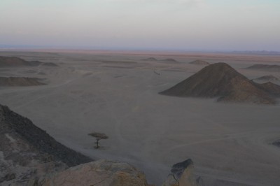 P3012527.JPG