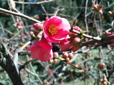 DSC00387.JPG