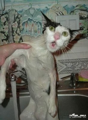 1238019173_02_новый размер.jpg