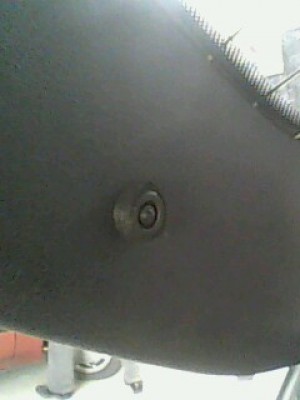 IMG0055A.jpg