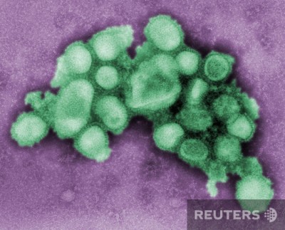 Так выглядит H1N1.jpg (189.91 KiB) Просмотров: 3189 Так выглядит H1N1.jpg