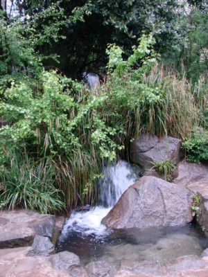 DSC02091.JPG