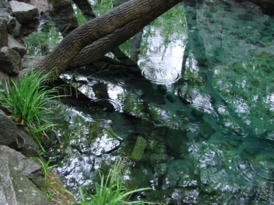 DSC02081.JPG