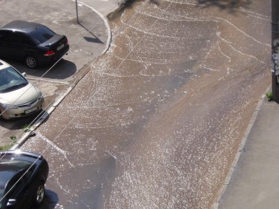 P6090130.JPG (116.49 KiB) Просмотров: 14016 P6090130.JPG