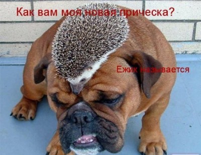 прическа.jpg