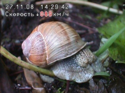 joke1.jpg (98.83 KiB) Просмотров: 3324 joke1.jpg