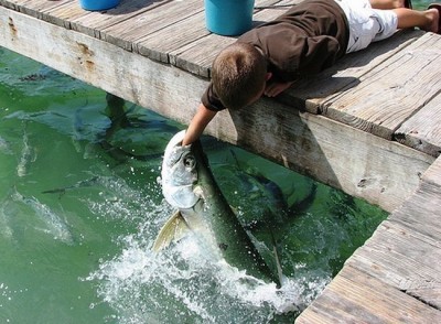 85297174.jpg (84.39 KiB) Просмотров: 2573 85297174.jpg