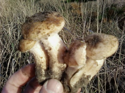 Семейка.jpg (185.3 KiB) Просмотров: 1557 Семейка.jpg