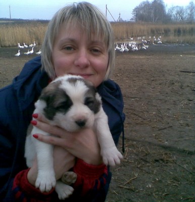 Пока можно взять на руки.jpg (100.04 KiB) Просмотров: 2220 Пока можно взять на руки.jpg