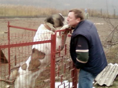 А когда-то тоже был маленьким и пушистым....jpg (112.11 KiB) Просмотров: 2219 А когда-то тоже был маленьким и пушистым....jpg