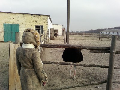 Знакомство.jpg (144 KiB) Просмотров: 3009 Знакомство.jpg