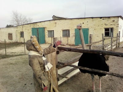 А ничего мальчик, повыше меня будет....jpg