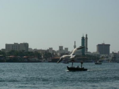 P1090422.JPG (21.63 KiB) Просмотров: 2476 P1090422.JPG