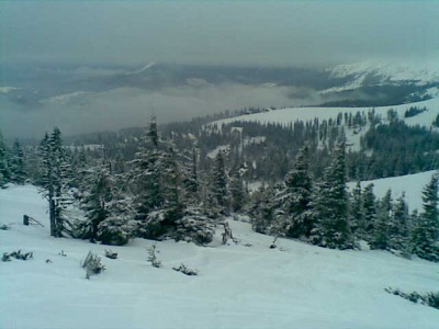 13012010287.jpg (40.54 KiB) Просмотров: 5846 13012010287.jpg