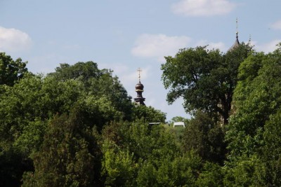 IMG_1686.jpg