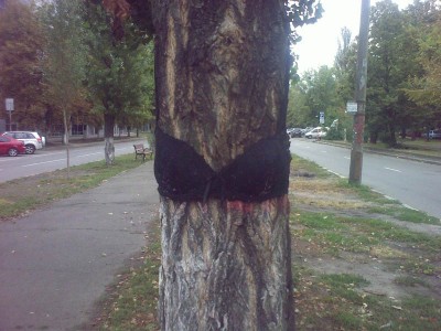 05092010338res.jpg