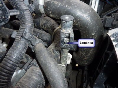 P1000524.jpg (161.8 KiB) Просмотров: 3405 P1000524.jpg