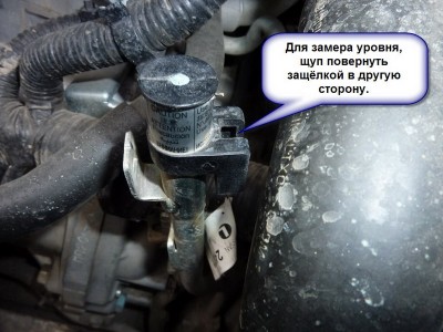 P1000525.jpg (128.39 KiB) Просмотров: 3390 P1000525.jpg