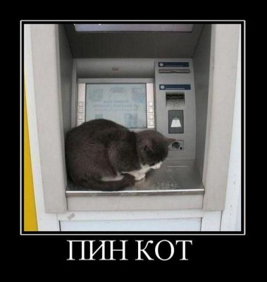 Пин кот.jpg