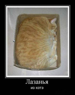 Лазанья.jpg