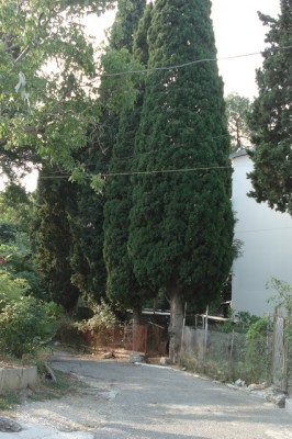 6 (4).jpg (153.26 KiB) Просмотров: 3138 6 (4).jpg