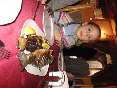 IMG_0091_small.jpg (38.09 KiB) Просмотров: 1947 IMG_0091_small.jpg