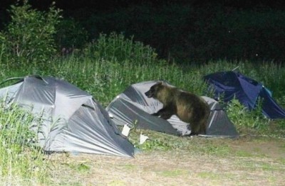 367727.jpg (64.7 KiB) Просмотров: 1299 367727.jpg