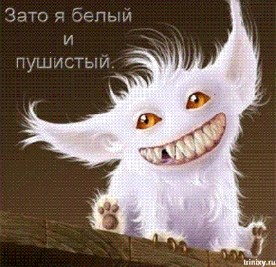 Белый и пушистый.gif