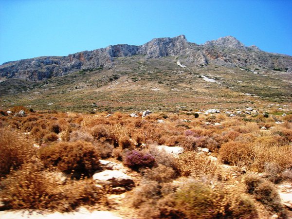 IMG_2011.JPG