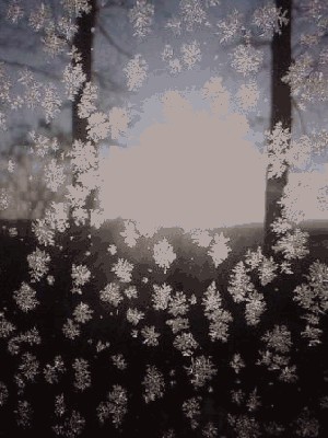 SP_A0085_qc1.jpg (31.15 KiB) Просмотров: 2745 SP_A0085_qc1.jpg