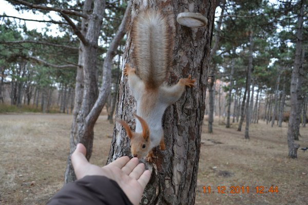 DSC_0028.JPG