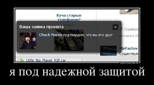 x_790c9964.jpg