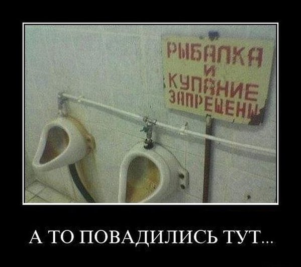 т3алет.jpg