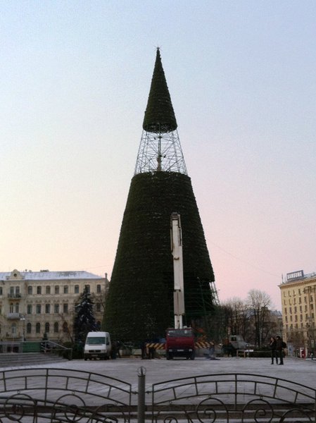 IMG_1187.jpg