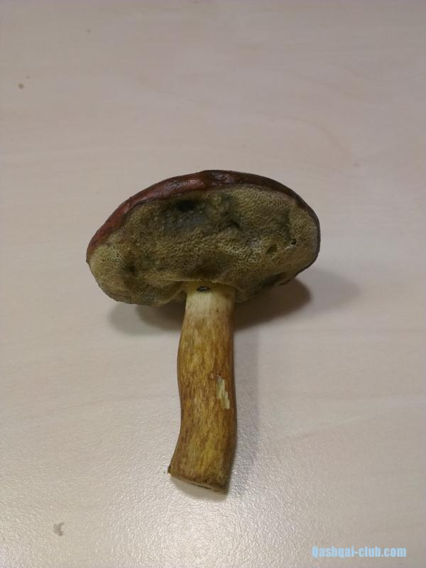 IMAG0730