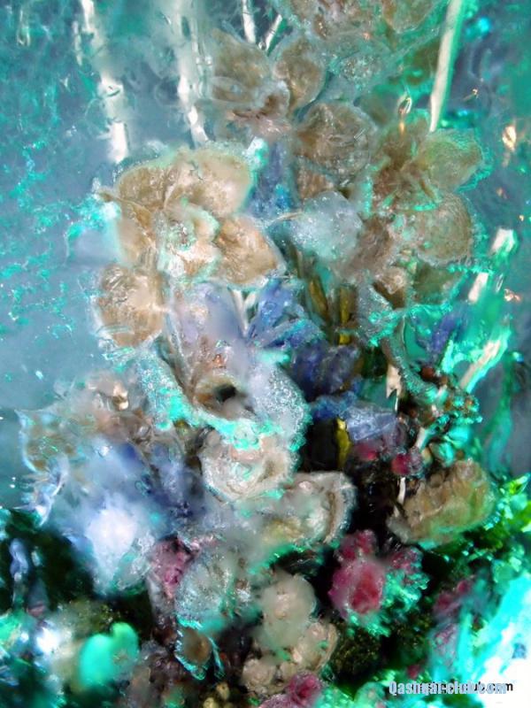 P1097248