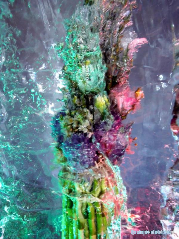 P1097250