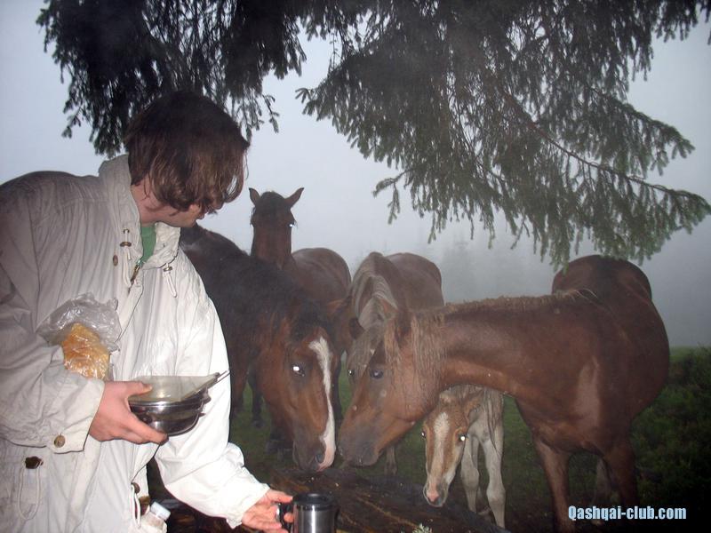 2013-07 14-21-Karpaty 016