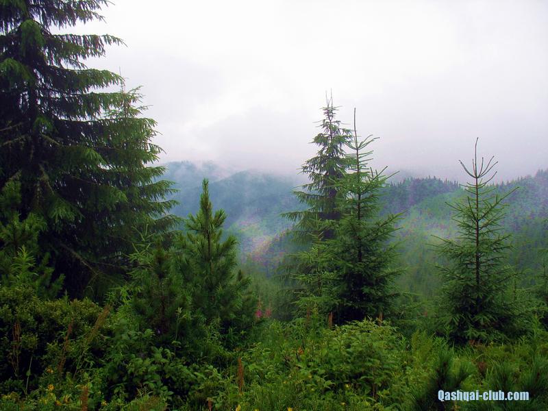 2013-07 14-21-Karpaty 052