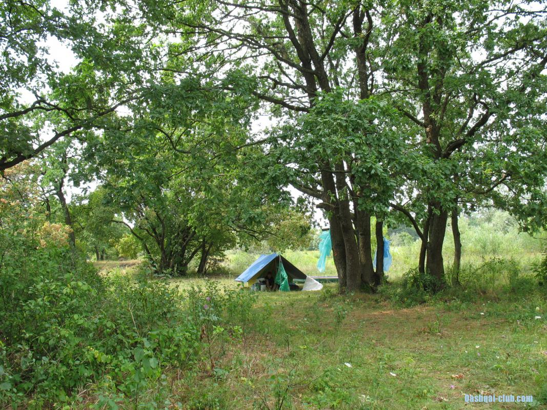 012-2bivak-palatka
