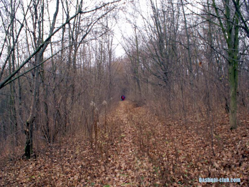 Osin-dendropark84
