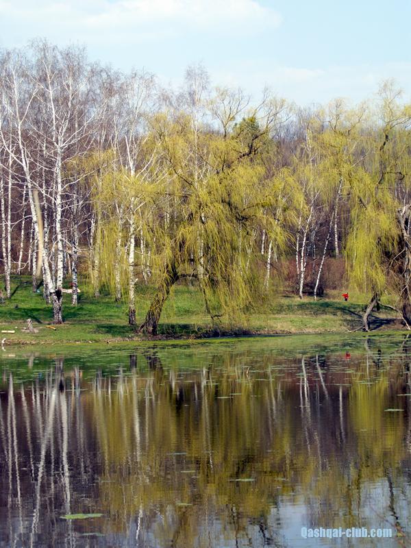 Vesna-Poltava 018