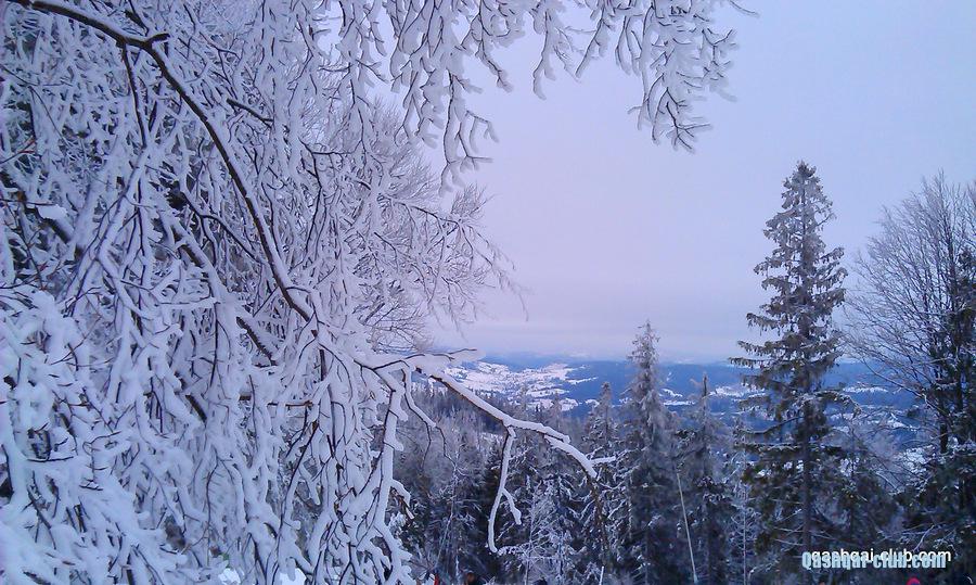 IMAG0681