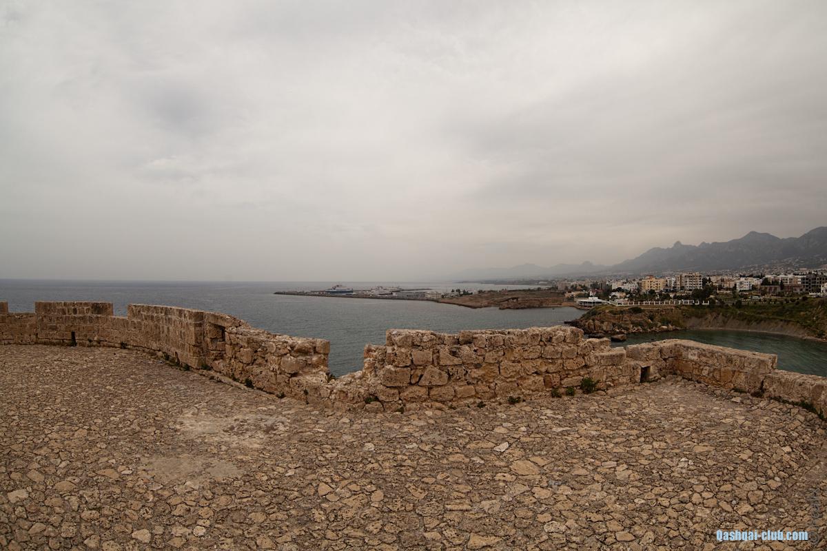 Image 8