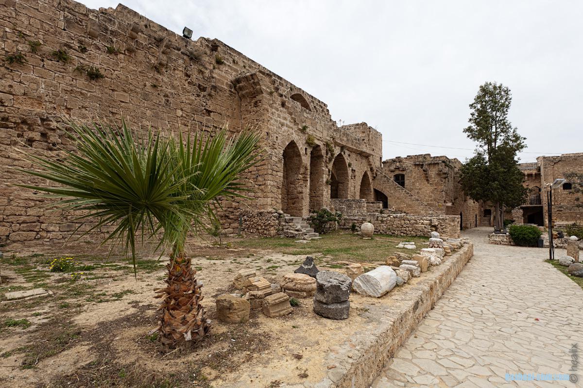 Image 11