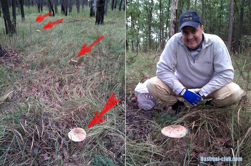 IMG 20120907 165149+