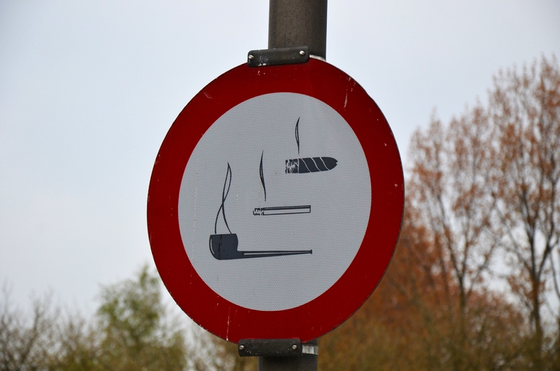 Голландия на яхте 33